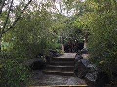 -西安青龙寺遗址景区
