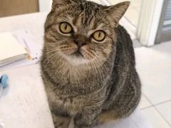 -纳吉亚猫专科动物医院博雅分院
