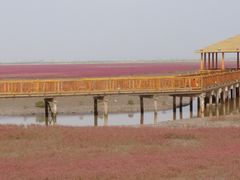 -红海滩国家风景廊道