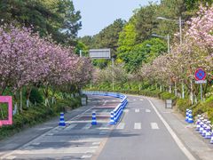 -铁山坪森林公园