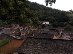 -杨家堂村