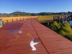 -塞罕坝国家级自然保护区