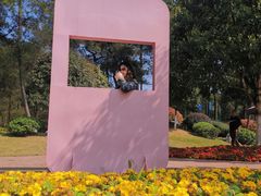 -铁山坪森林公园