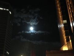 夜景-百富怡大酒店