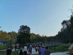 -神光山国家森林公园