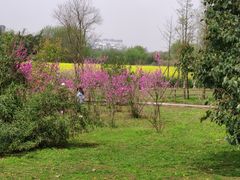 -贵阳市花溪国家城市湿地公园