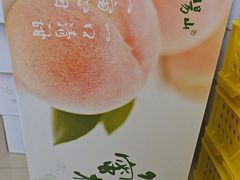 -老袁家蜜桃农场·阳山水蜜桃