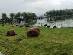 -长春市南湖公园