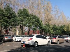 -合肥滨湖国家森林公园