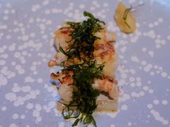 -Sketch(The Lecture Room & Library)