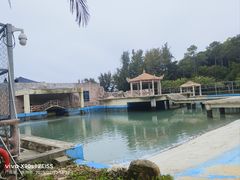 -广东惠东海龟国家级自然保护区
