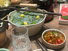 -蘑界·野生菌火锅(深业上城店)