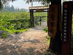 -同里国家湿地公园