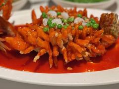 松鼠桂鱼-玫瑰厅上海菜(兴国路店)
