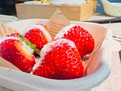 -鲜潭蒸汽石锅鱼(五道口购物中心店)