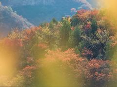 -周口店坡峰岭风景区