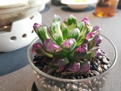 -肆月河豚·淮扬菜·湘菜(华天店)