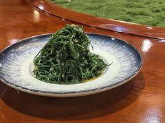 -蒙古大营·蒙古演绎餐厅(赛马场店)