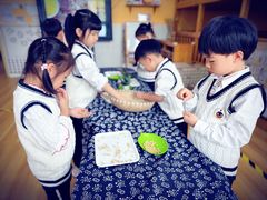 -糖心家族国际幼儿园·托育园(南开水上公园店)