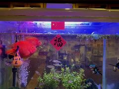 -意卡菲·欢乐聚会餐厅(华侨店)
