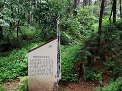 景点-冶父山国家森林公园