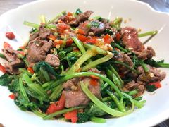 香菜炒牛肉-壹盏灯(惠农店)