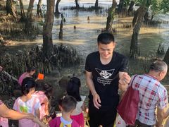 -宝安西湾红树林湿地公园