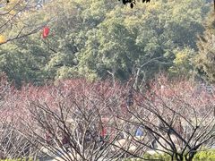 -无锡梅园公园
