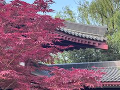 -唐御宴•御宴宫•唐代菜点(芙蓉西路店)