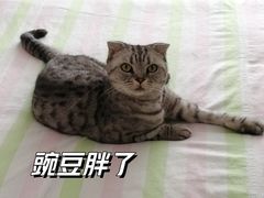 -美联众合动物医院·24h京西诊疗中心