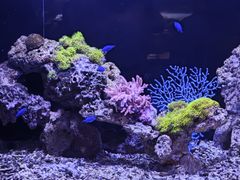 -洛阳龙门海洋馆