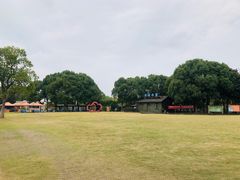 -梁鸿国家湿地公园