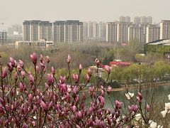 -河北省园博园