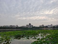 -莲花池公园