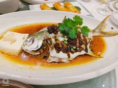 清蒸龙胆鱼-喜宴又一村·粤菜·茶点·海鲜(壹方天地店)