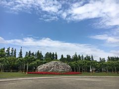 -上海海湾国家森林公园