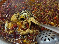 -品鱻黑豆花美蛙鱼(西政店)