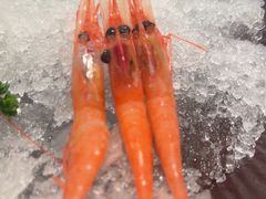 -牛YO寿喜烧和牛火锅自助(三台子万象汇店)