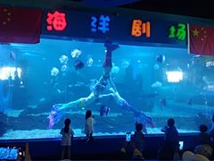 -石林冰雪海洋世界