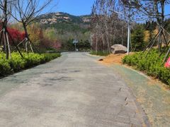 -浮山香苑
