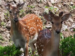 -不觉晓CAMPING(上海迪士尼营地店)