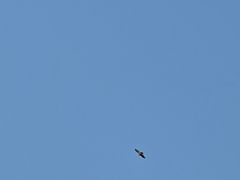 -沐泷泉(南风大剧院店)