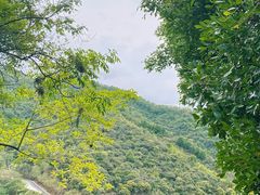 -阳台山森林公园