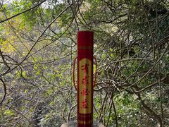 -普陀山风景区-佛顶山