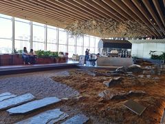 -Seesaw Coffee(朝阳大悦城店)