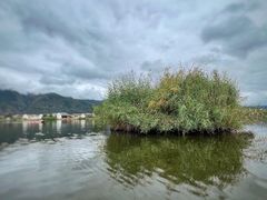 -大理洱源西湖景区