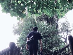 -东极岛景区