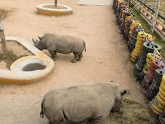 -西霞口神雕山野生动物世界