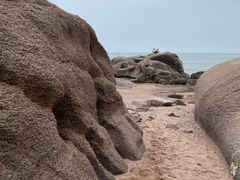 -青岛海景花园大酒店