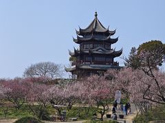 -上海海湾国家森林公园